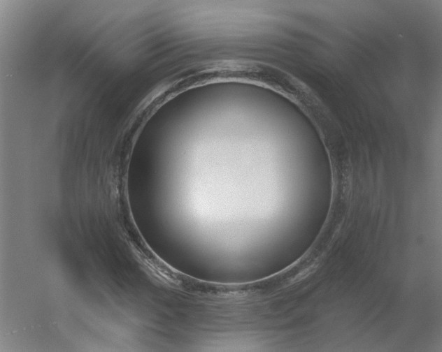 X0000054381017200508121601