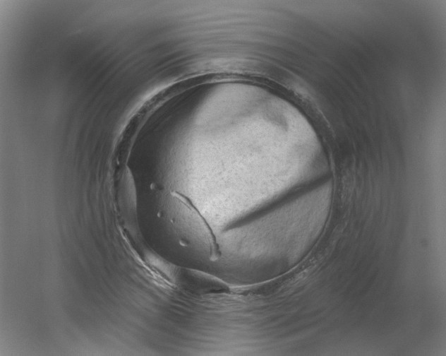 X0000054381019200508121601