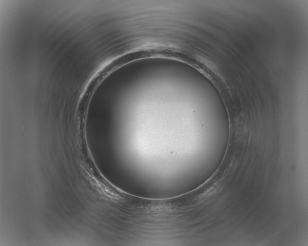 X0000054381021200508121601