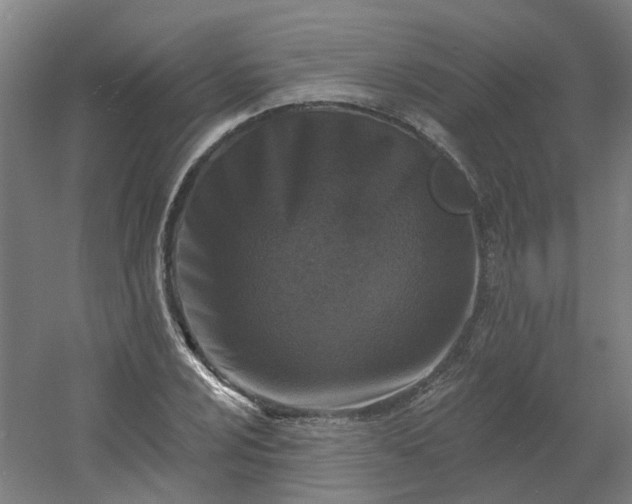 X0000054381024200508121601