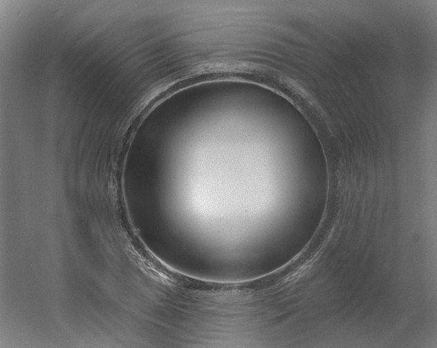 X0000054381025200508121601