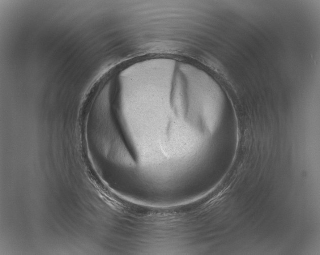X0000054381027200508121601