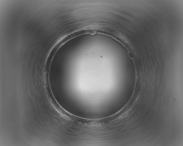 X0000054381029200508121601