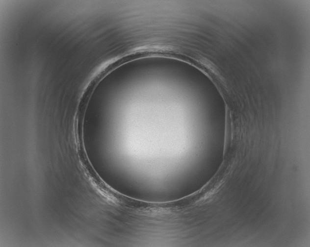X0000054381030200508121601