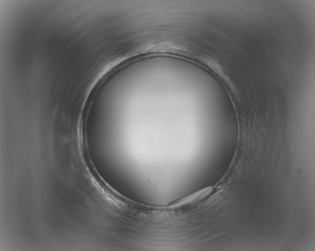 X0000054381032200508121601