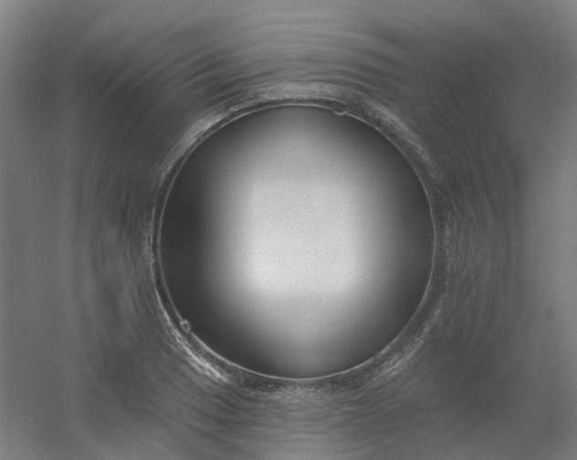 X0000054381033200508121601