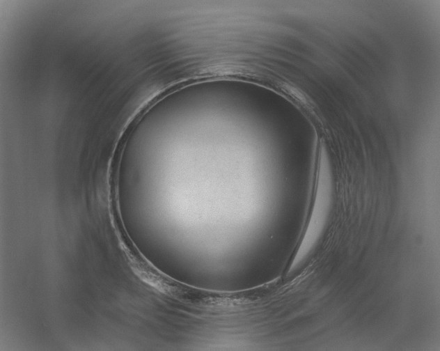 X0000054381039200508121601