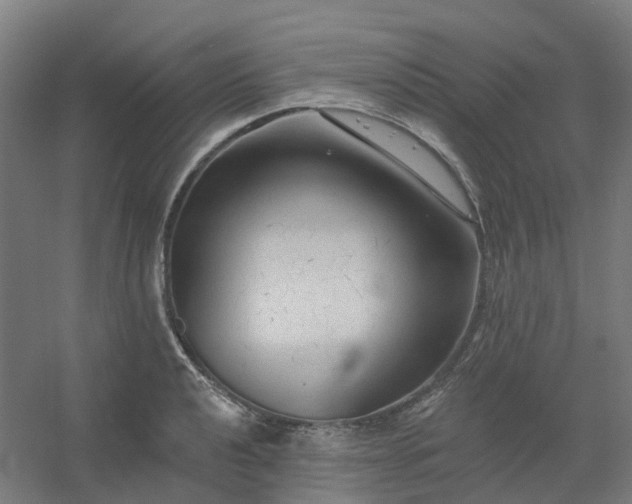 X0000054381040200508121601