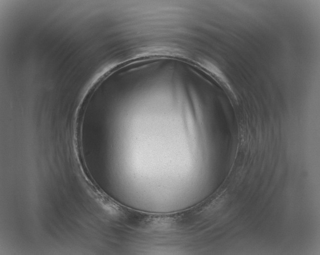 X0000054381043200508121601