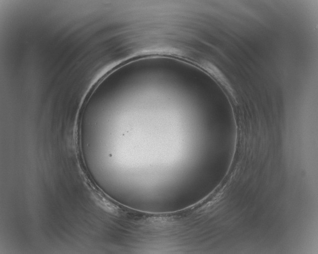 X0000054381044200508121601