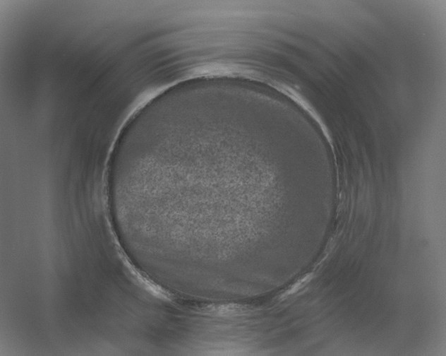 X0000054381045200508121601