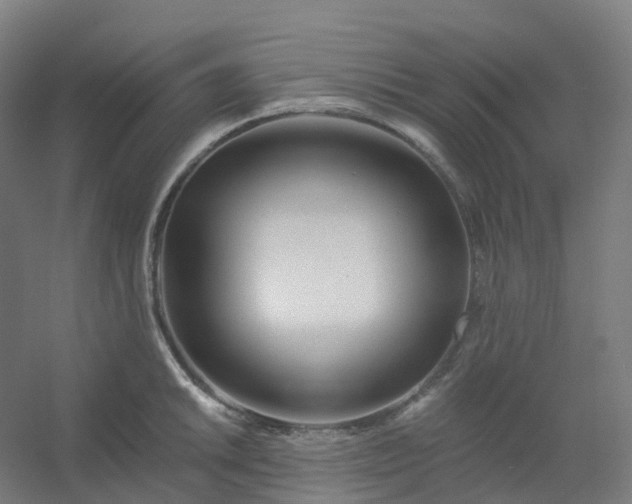 X0000054381046200508121601