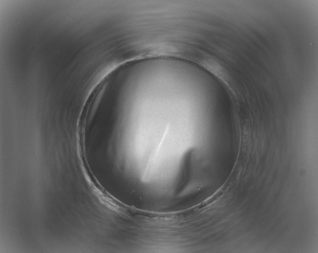 X0000054381047200508121601