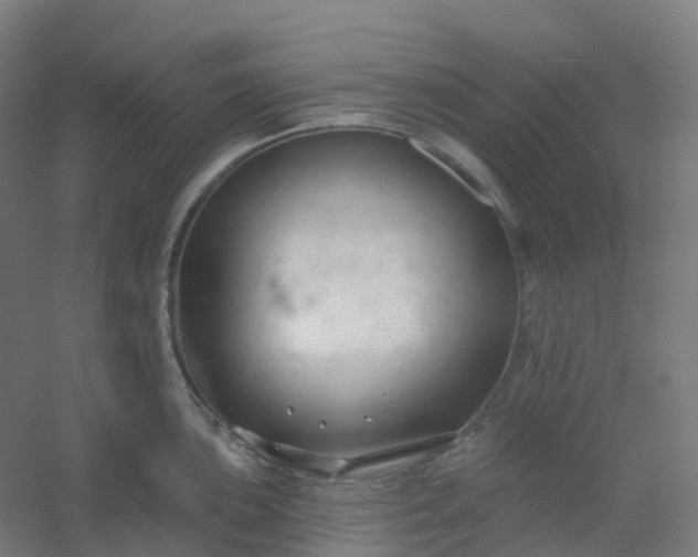 X0000054381051200508121601