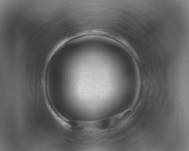 X0000054381054200508121601