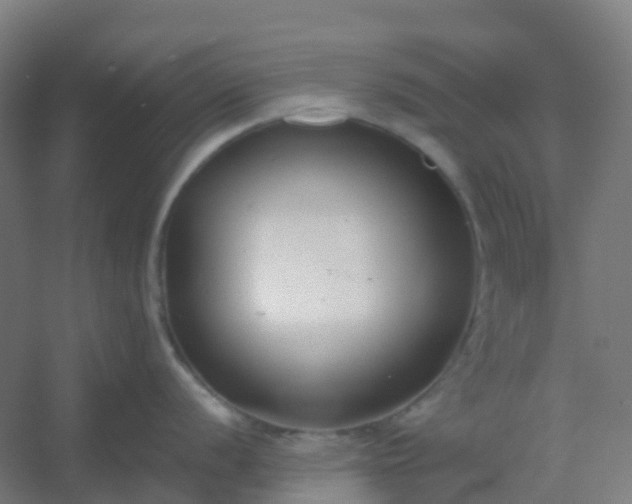 X0000054381056200508121601