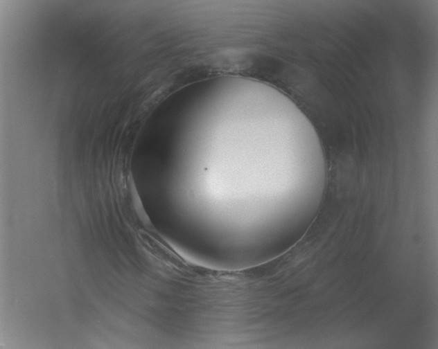 X0000054381058200508121600