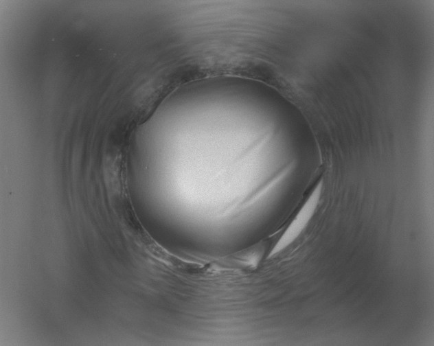 X0000054381059200508121600