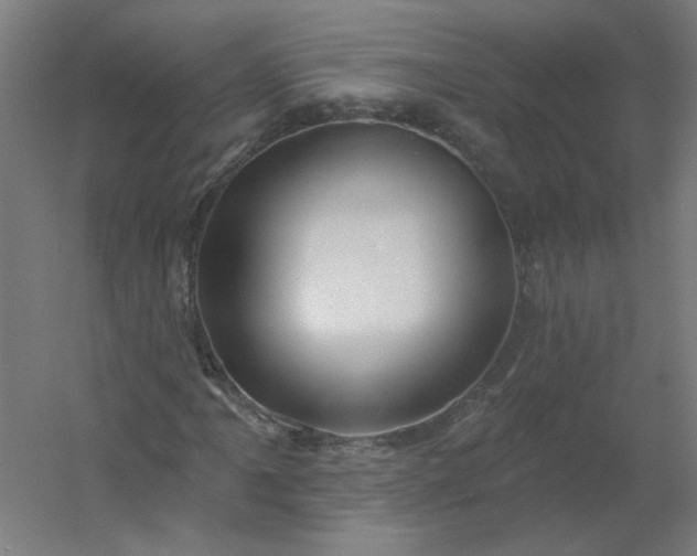 X0000054381061200508121600