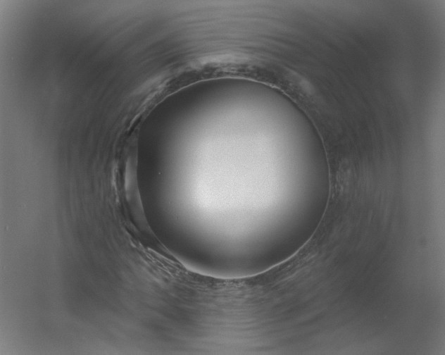 X0000054381062200508121600