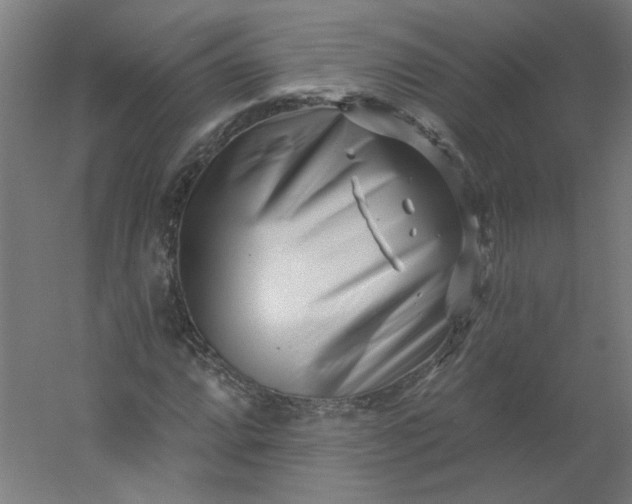 X0000054381064200508121600
