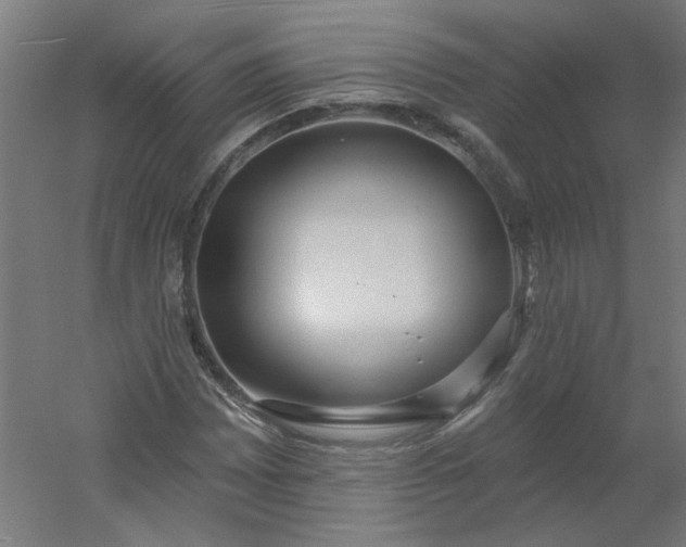 X0000054381065200508121600