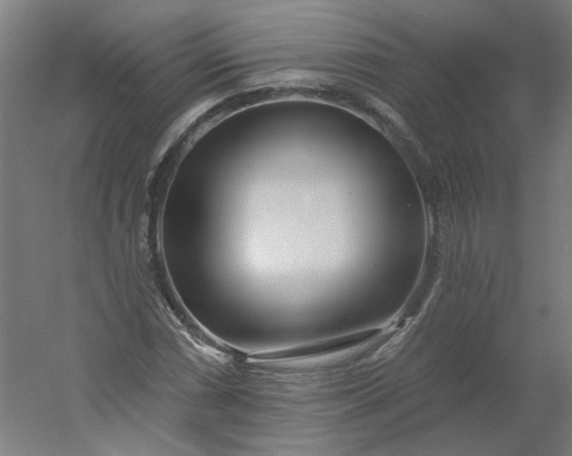 X0000054381066200508121600