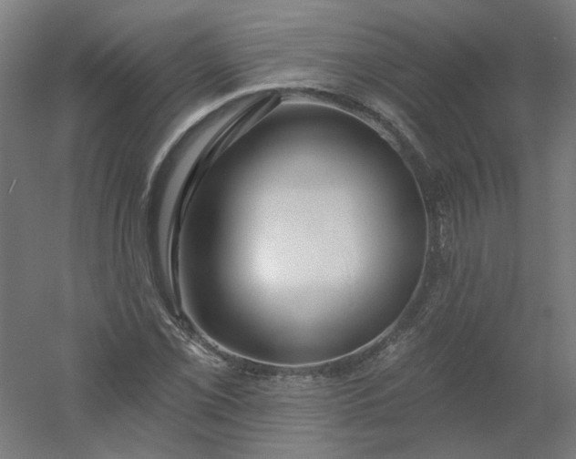 X0000054381069200508121600