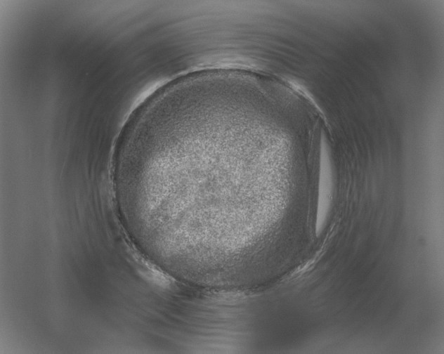 X0000054381071200508121600