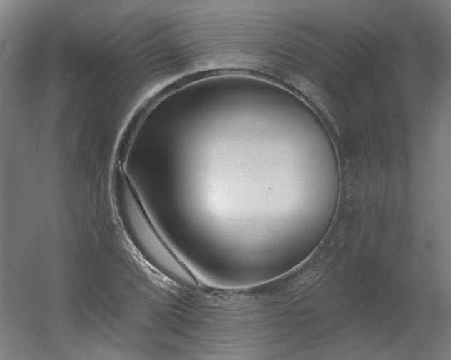 X0000054381072200508121600