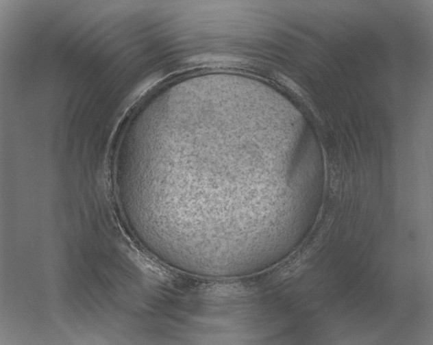 X0000054381074200508121600