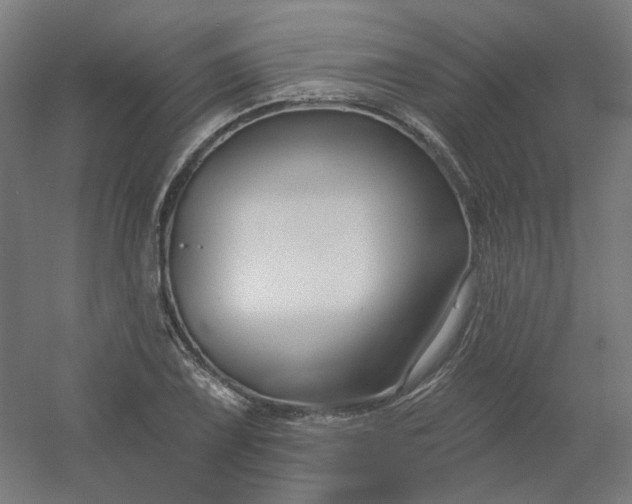 X0000054381075200508121600