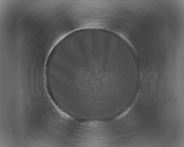 X0000054381077200508121600