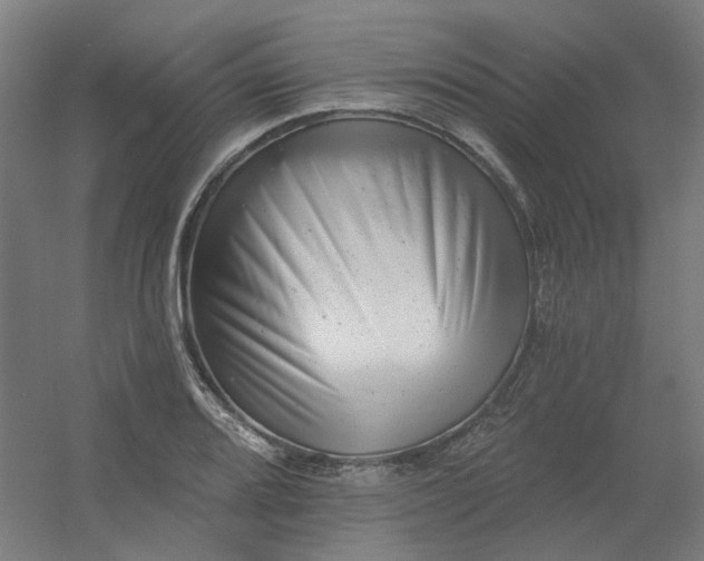 X0000054381080200508121600