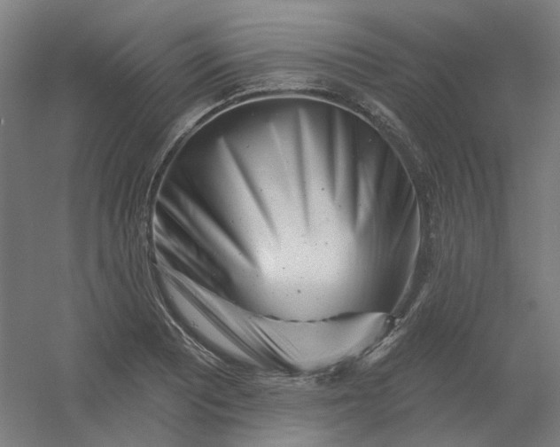 X0000054381081200508121600