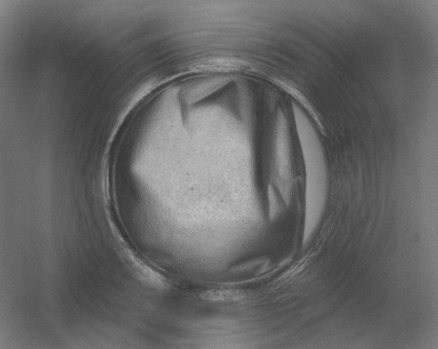 X0000054381083200508121600
