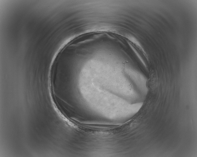X0000054381088200508121600