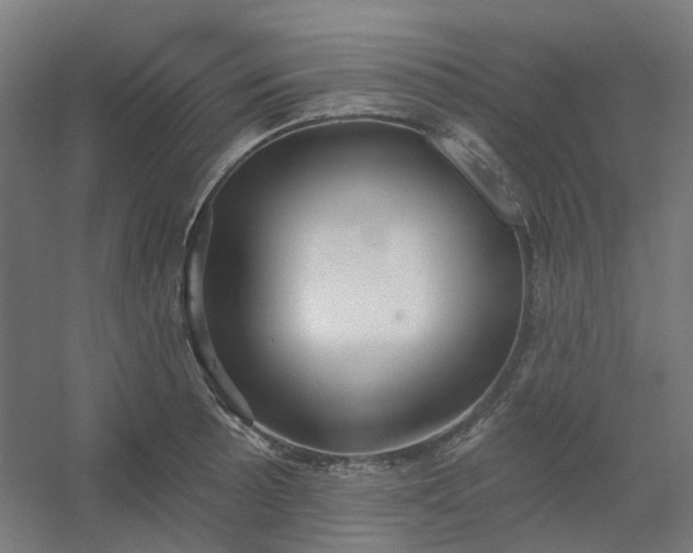 X0000054381089200508121600