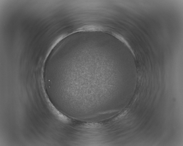 X0000054381091200508121600