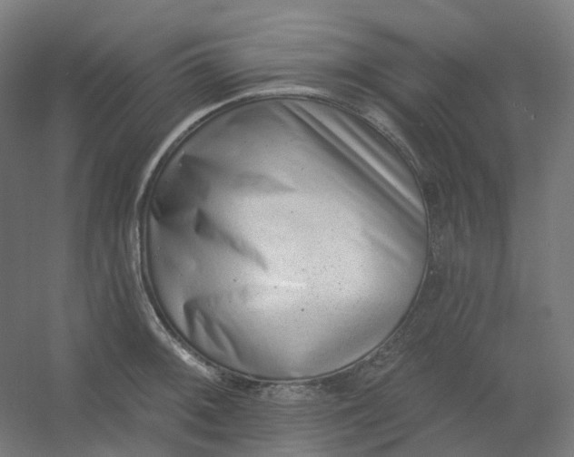 X0000054381092200508121600