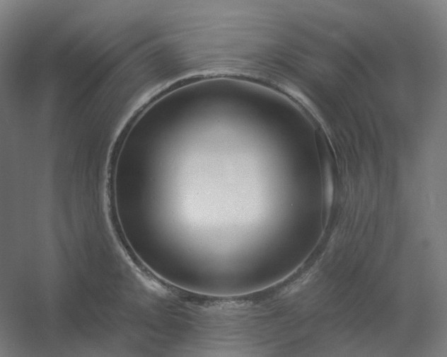 X0000054381093200508121600