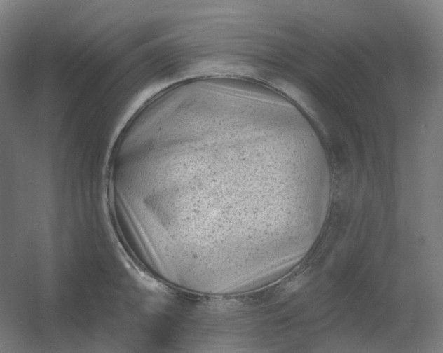 X0000054381094200508121600
