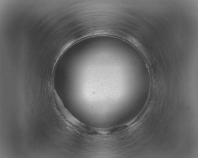 X0000054381097200508121600