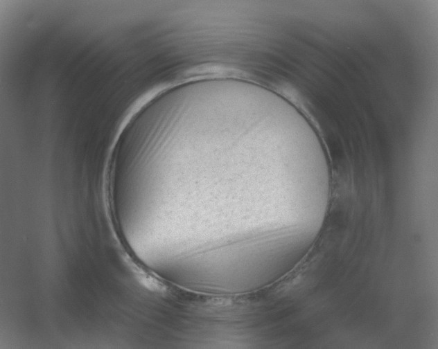 X0000054381098200508121600