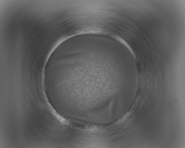 X0000054381099200508121600