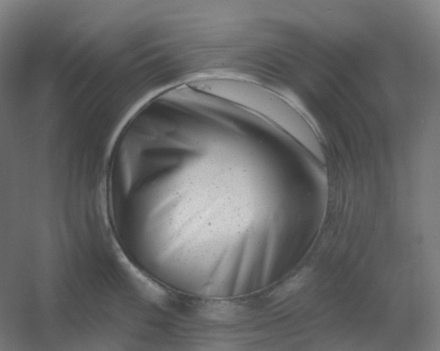 X0000054381100200508121600