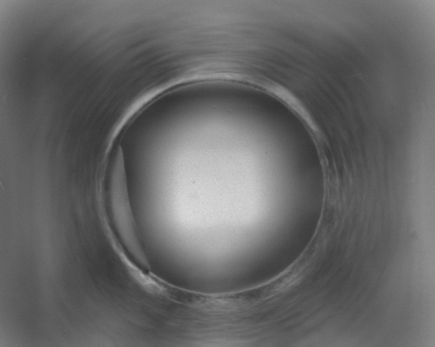 X0000054381101200508121600