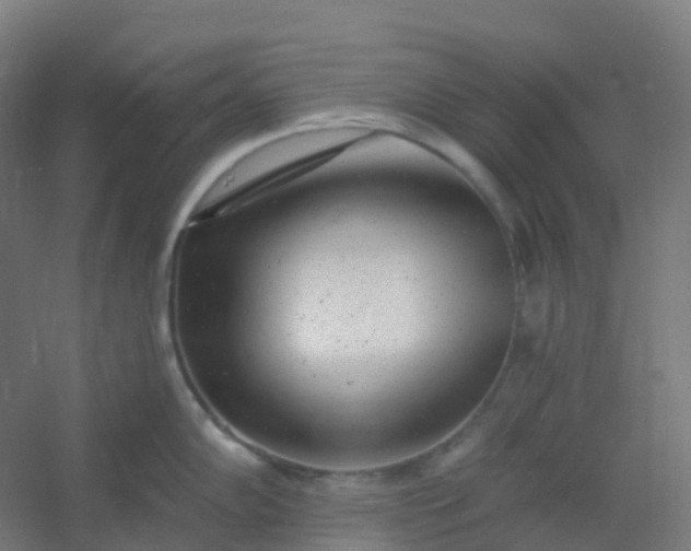 X0000054381102200508121600