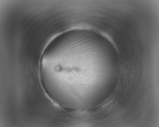 X0000054381103200508121600