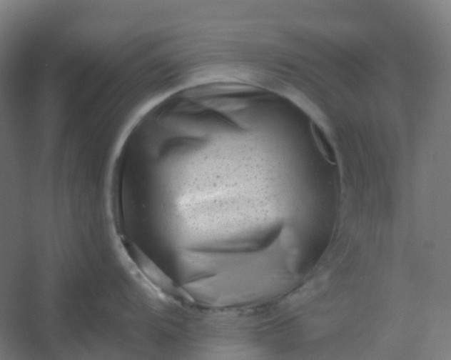 X0000054381104200508121600